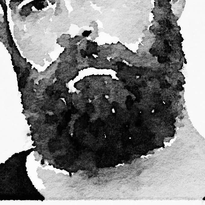 BEARDS IN THE WORLD