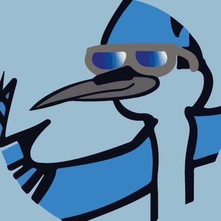 Memes, Reels, Videos