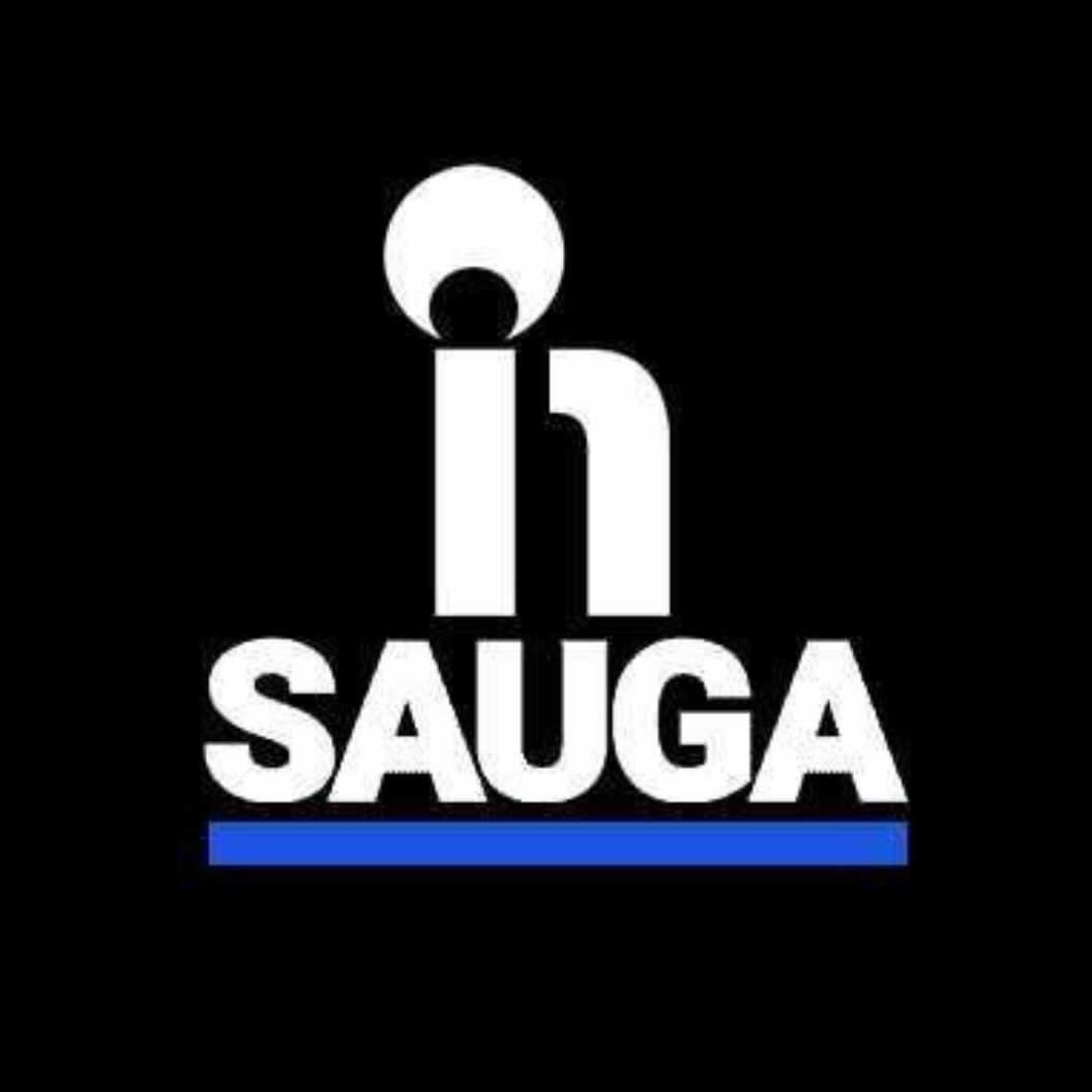 Insauga - Mississauga