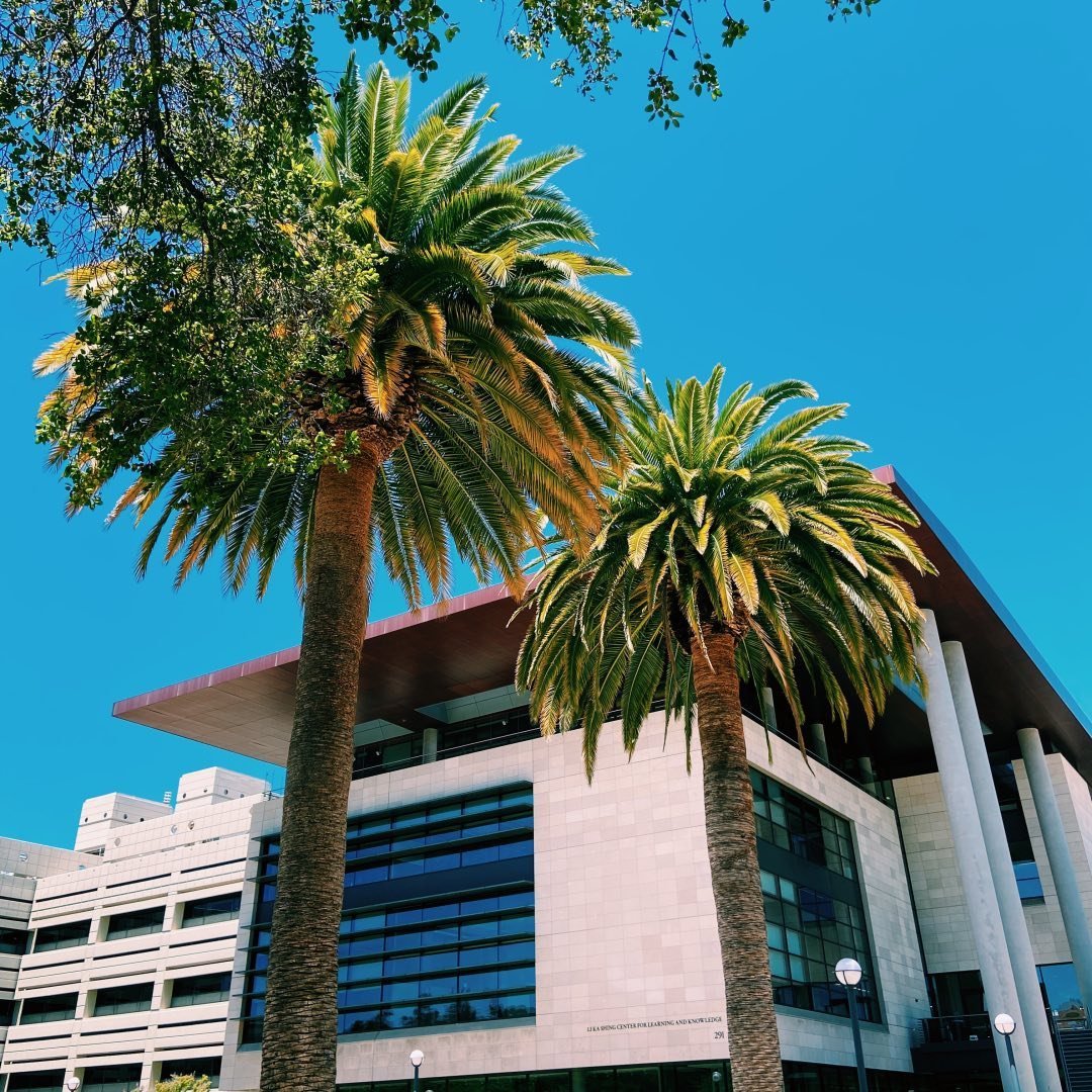 Stanford School Of Medicine
