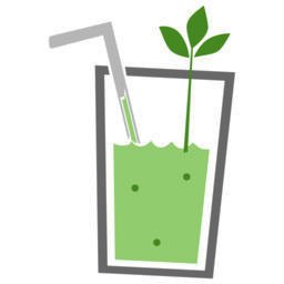 The Smoothie Guy