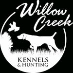 GSP Puppies | Gun Dog Training