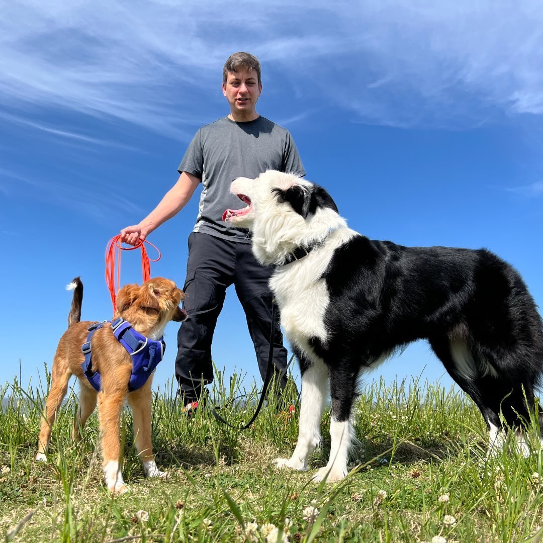 Dog Training Revolution