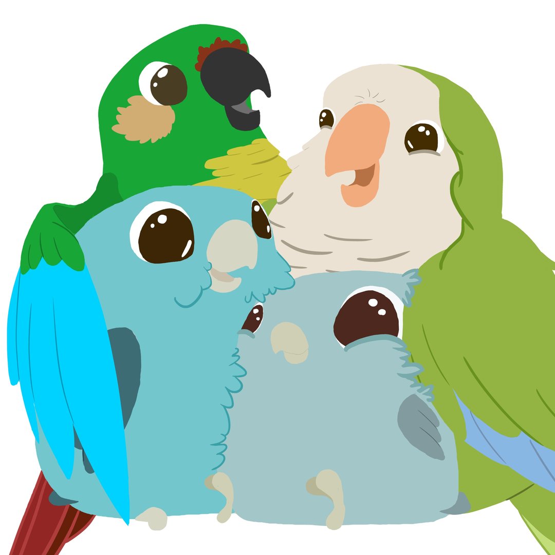 Flock-Talk