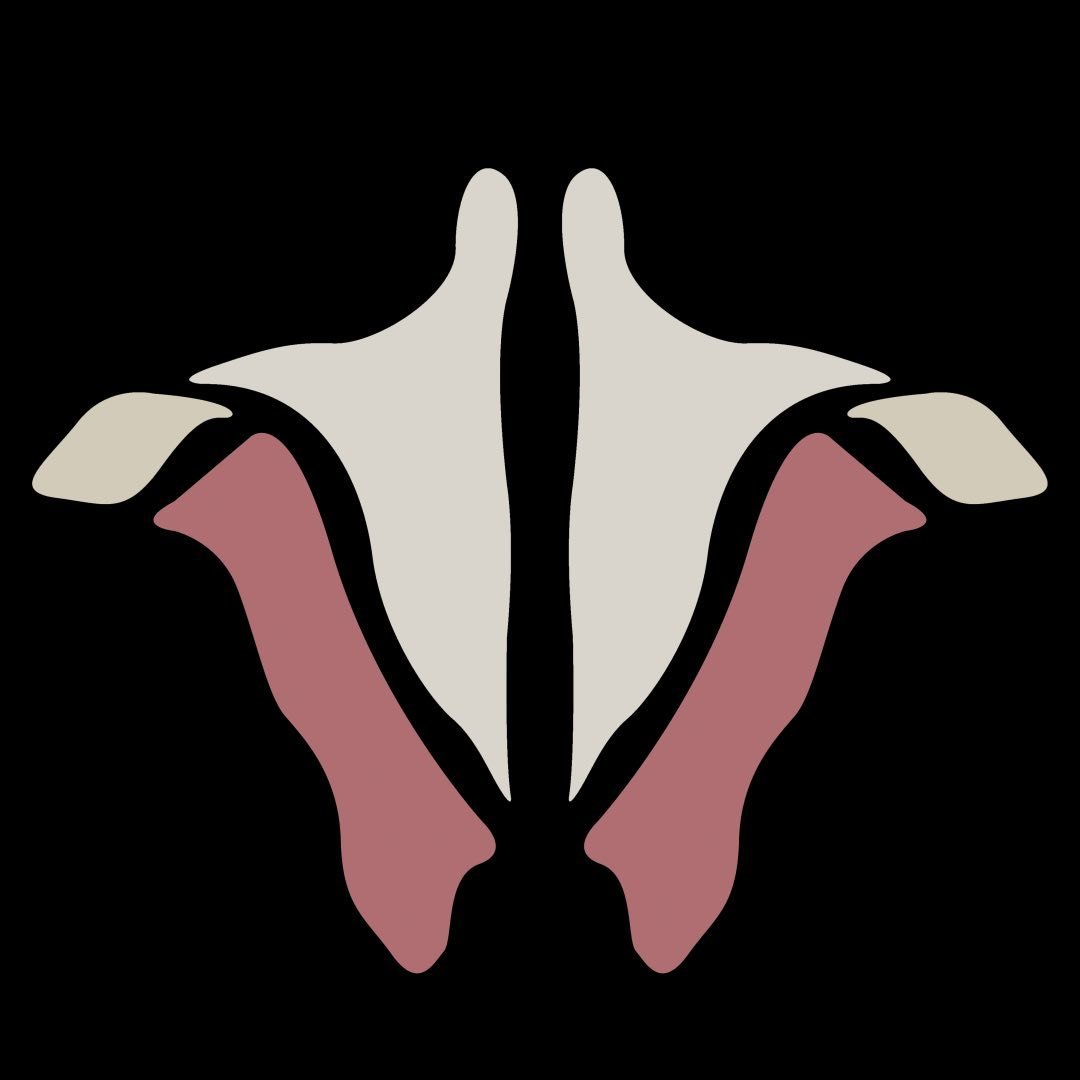 Institute Of Human Anatomy