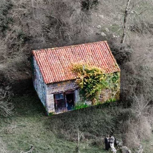 Construyendo En El Paraíso
