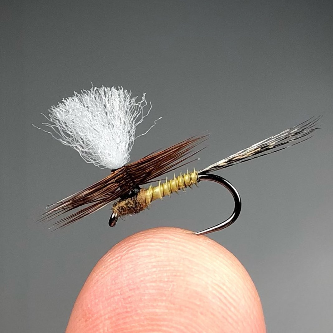 dryflypurist