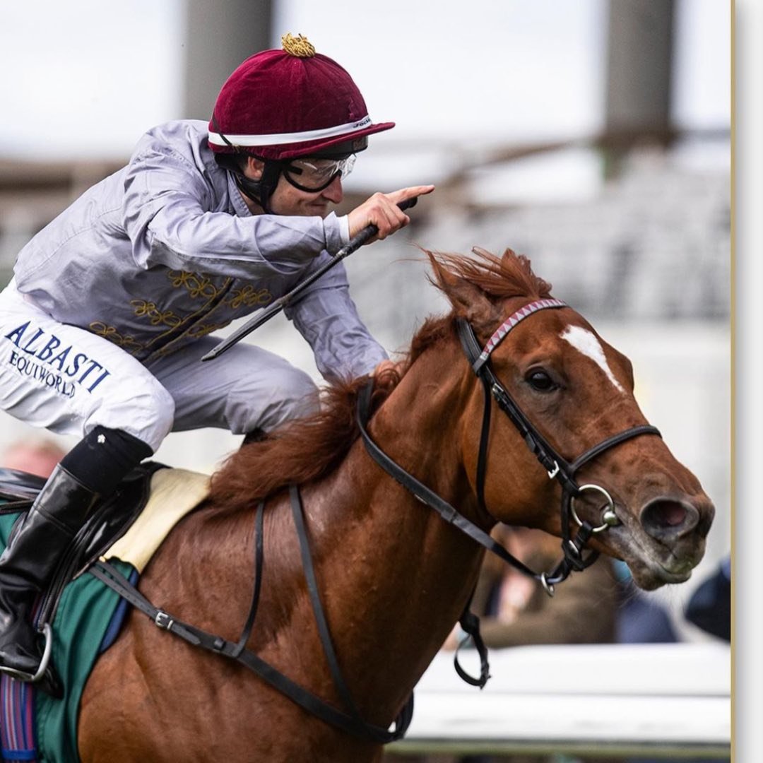 HUGO PALMER AT MANOR HOUSE STABLES