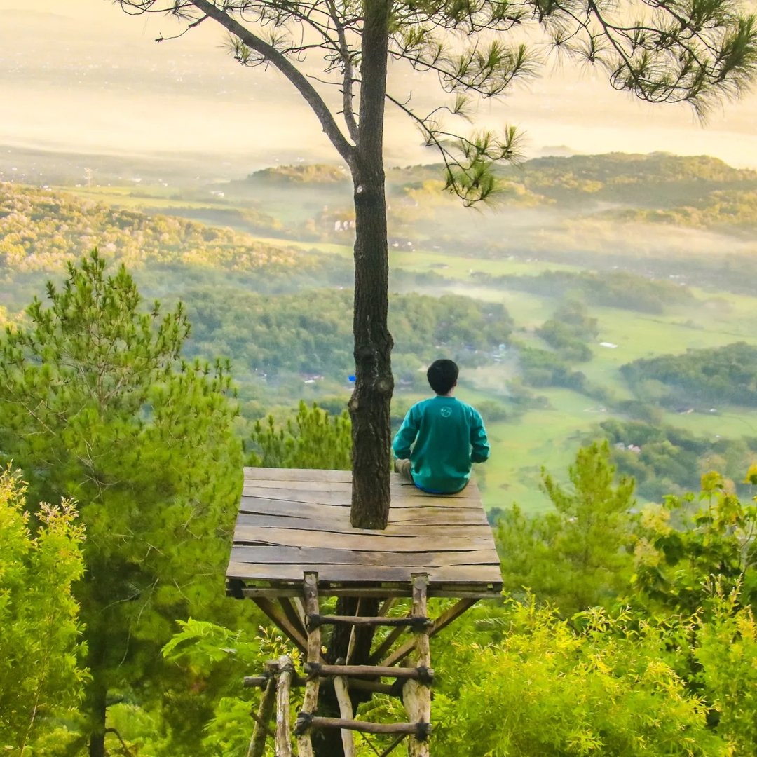 Nature | Vacations | Adventure