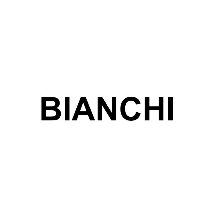 Amadeo Bianchi