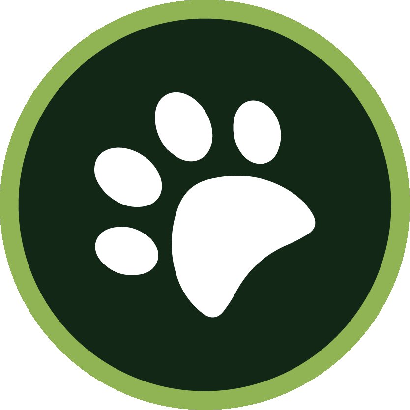 Inspired By Animals