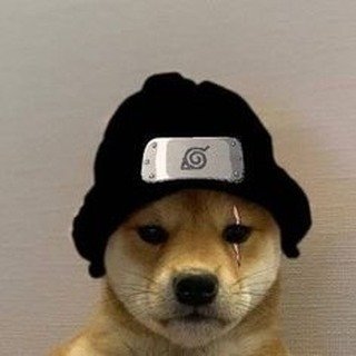 lilkvsh