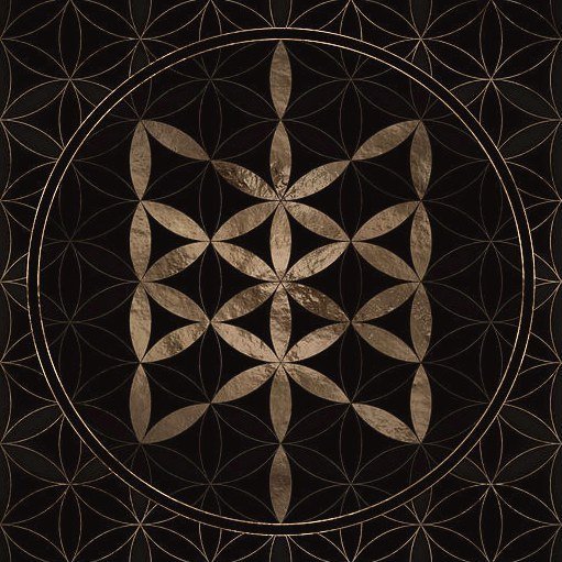 Norse Fate ◈ Vikings ◈ History