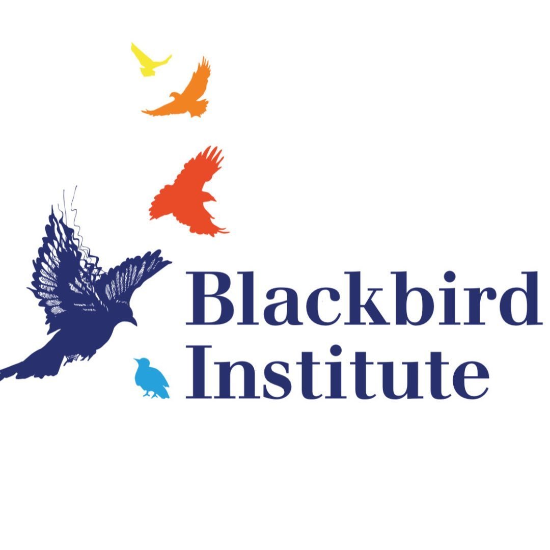 Blackbird Institute // Fie Hørby