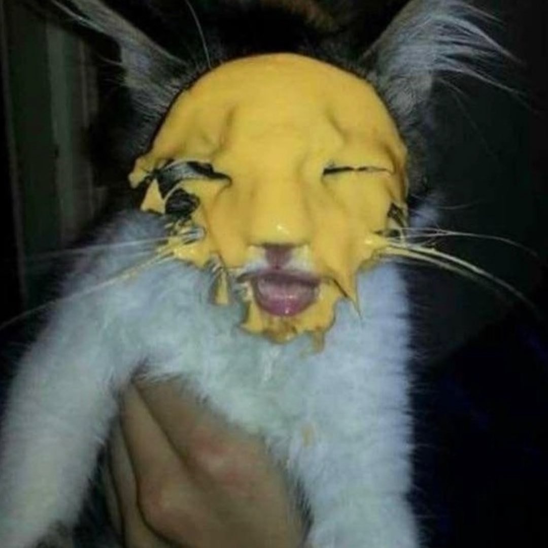 Animals Going Goblin Mode