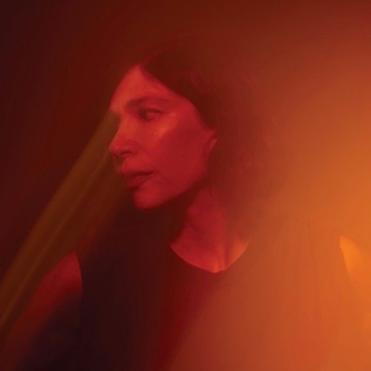 Carrie Brownstein