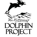 Dolphin Project