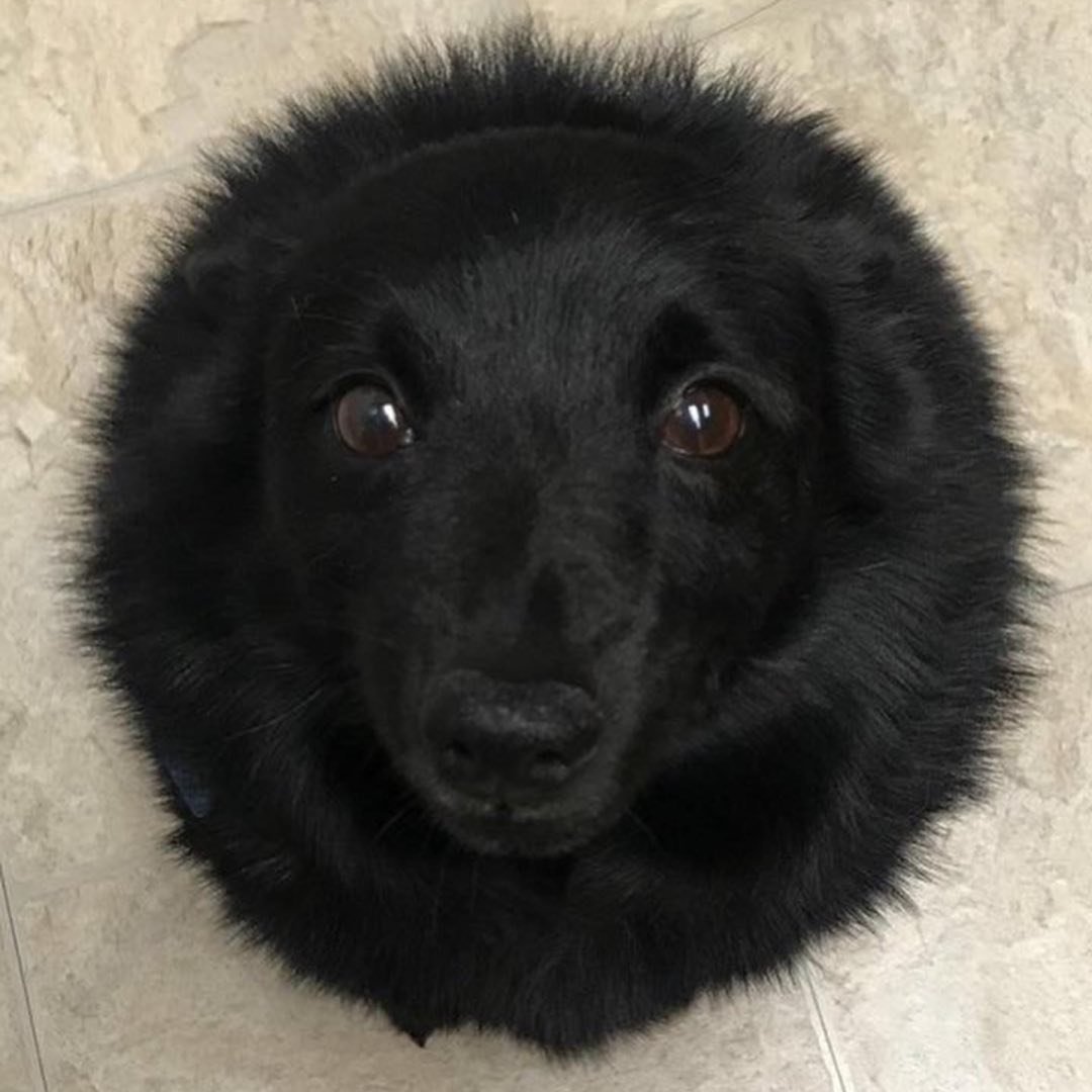 Round Boys