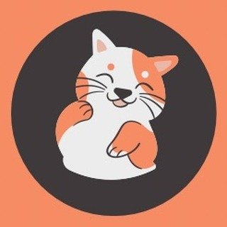Cat Lovers Boutique