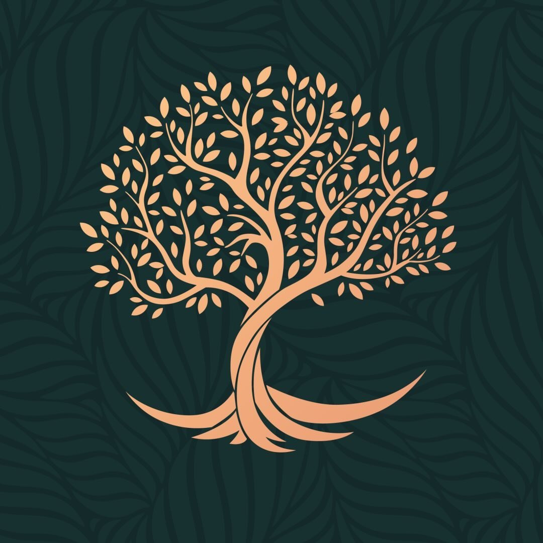 وود هاوس - WOOD HOUSE