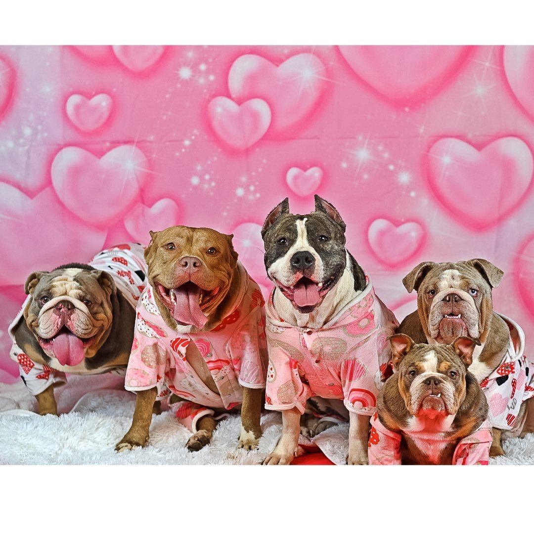 Big Daddy & Nem 🐶💕💙