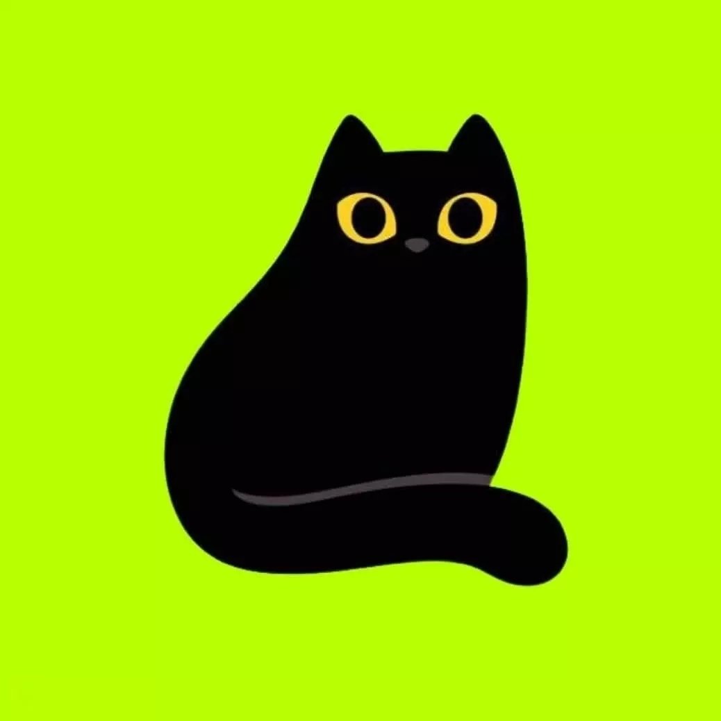 Black Cats Soul 🐈