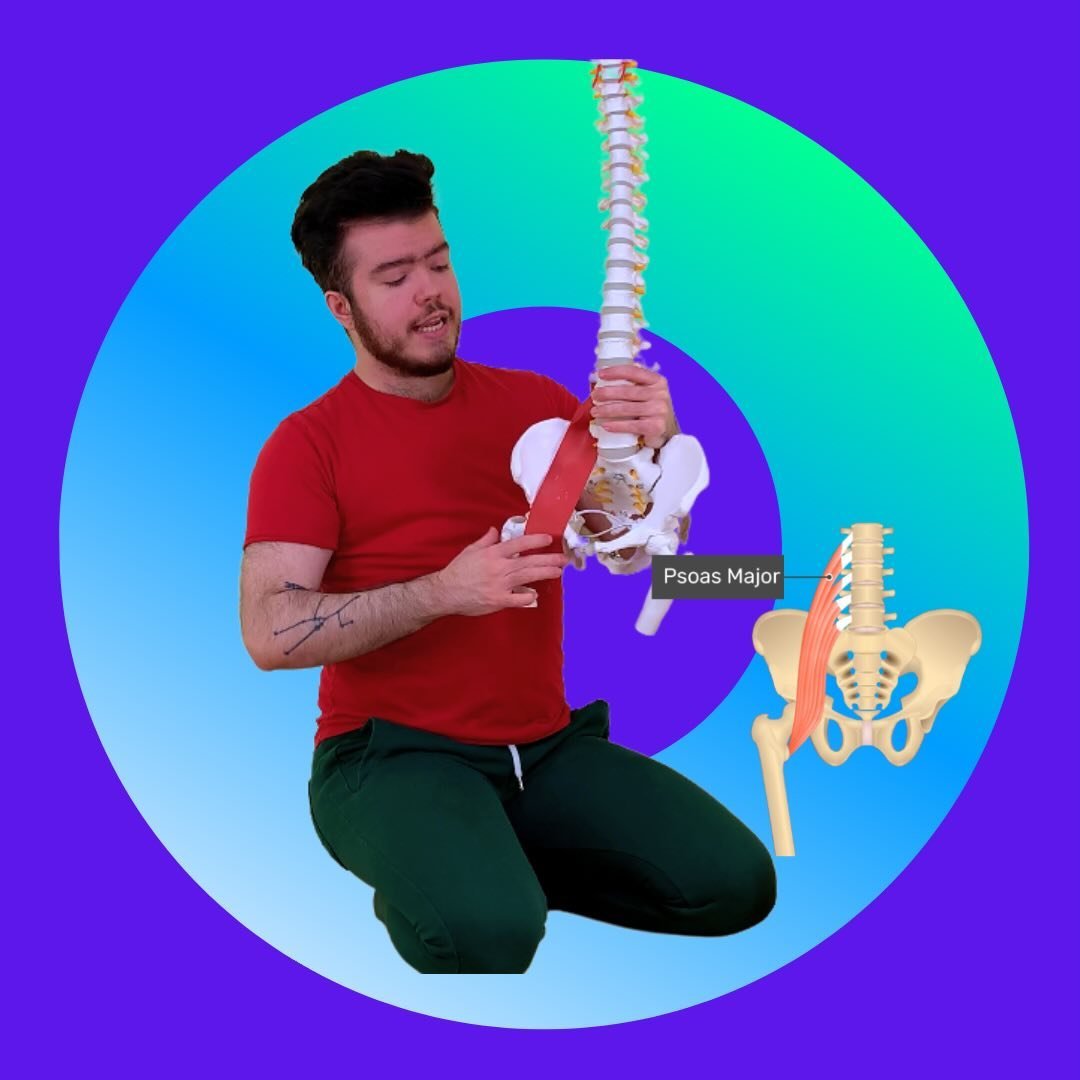 Alex Imán · Anatomy Of Flexibility & Contortion