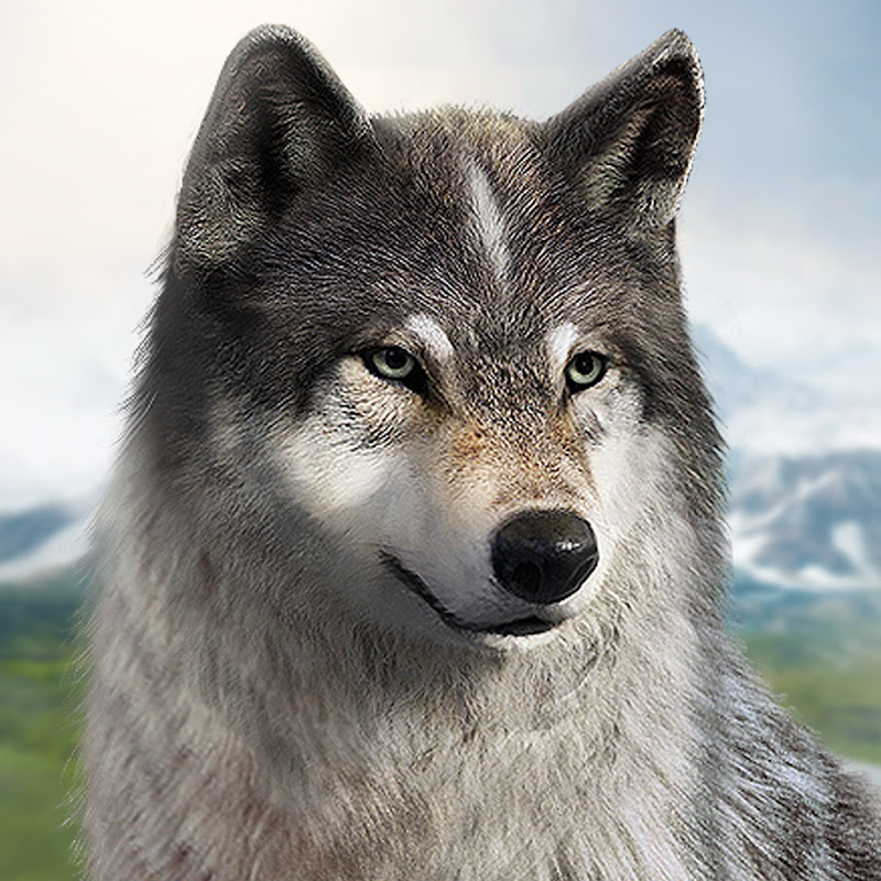 The Wolf Game
