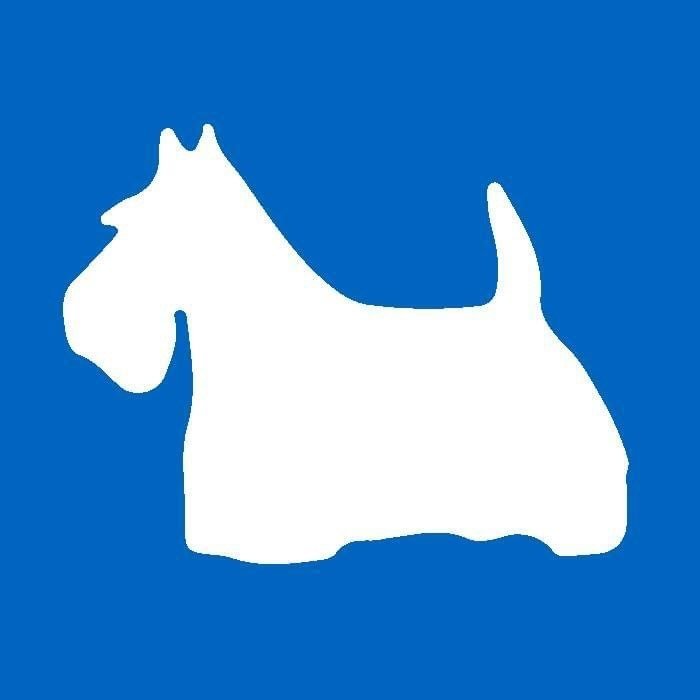 Dumbarton Scottish Terriers