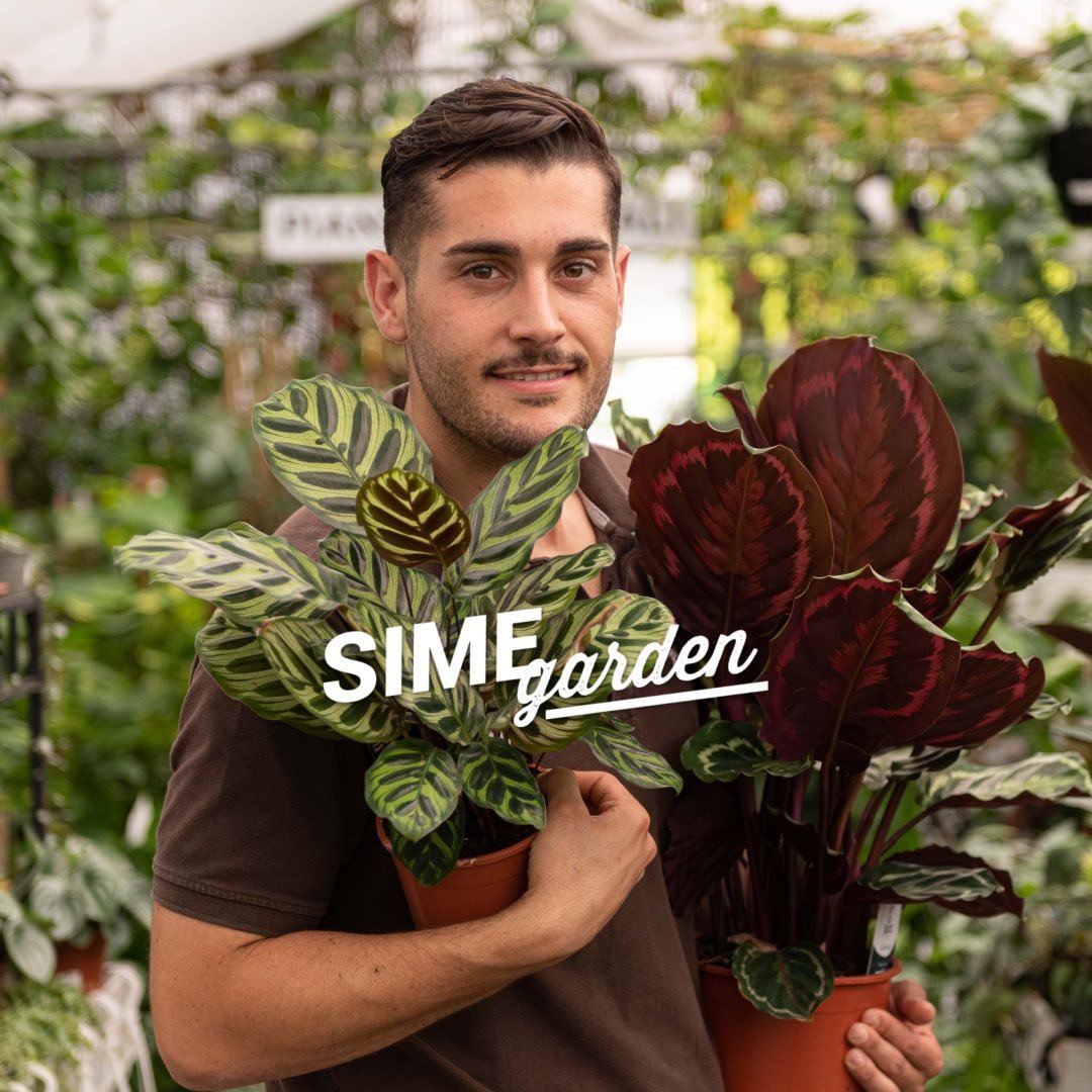 Emanuele Simeoli - Simegarden