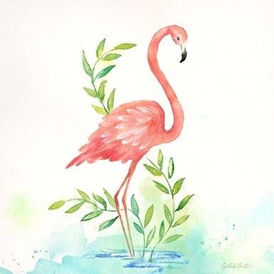 Flamingoköy🦩
