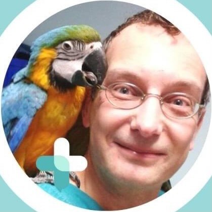 Dr Luca Re | Veterinario