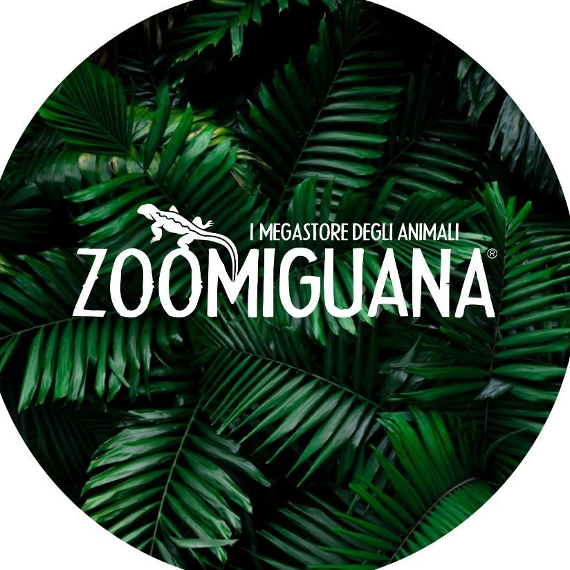 Zoomiguana - Il Megastore Degli Animali