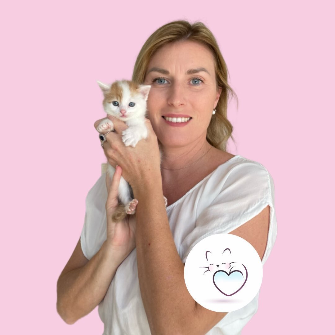 Lary E Il Mondo Dei Gattini | Impara A Salvare Un Gattino