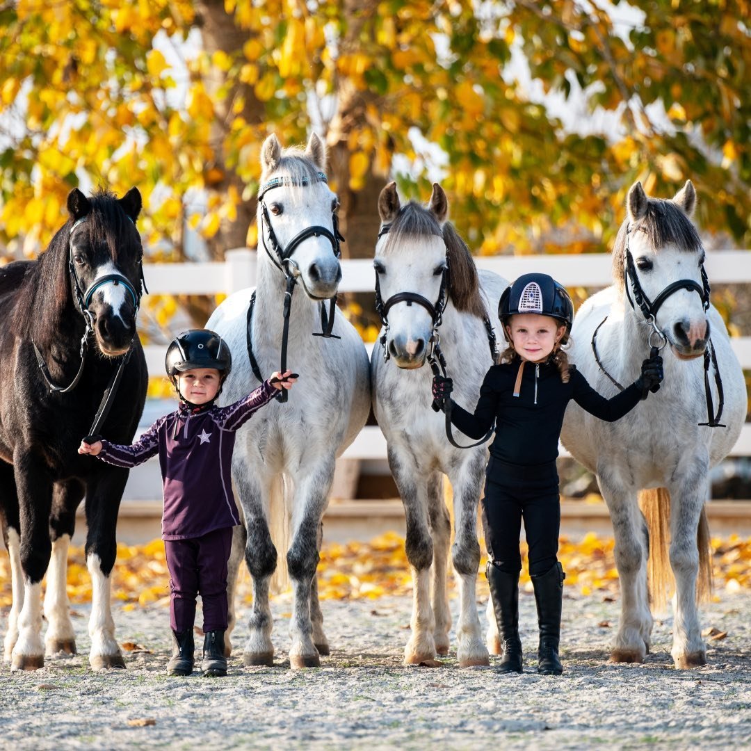 🐴 𝐄𝐪𝐮𝐞𝐬𝐭𝐫𝐢𝐚𝐧 𝐥𝐢𝐭𝐭𝐥𝐞 𝐬𝐢𝐬𝐭𝐞𝐫𝐬 🇨🇿