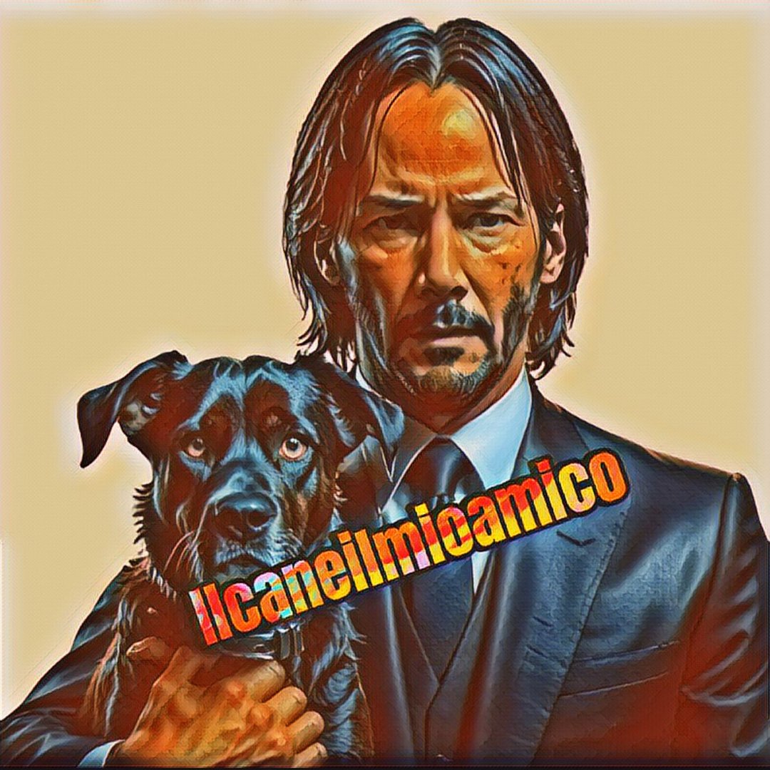 Il Cane Il Mio Amico
