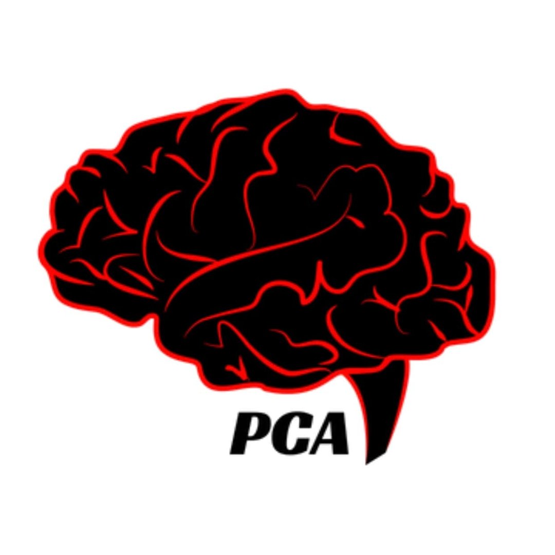 Psicologia Cognitiva