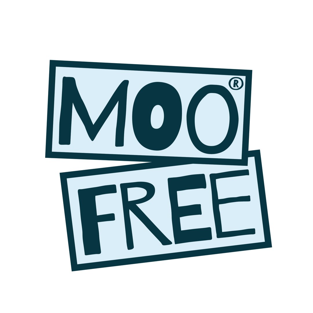 Moo Free Chocolates