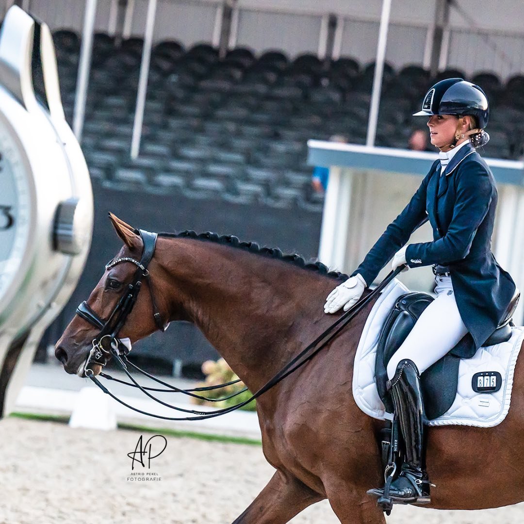 RK Dressage