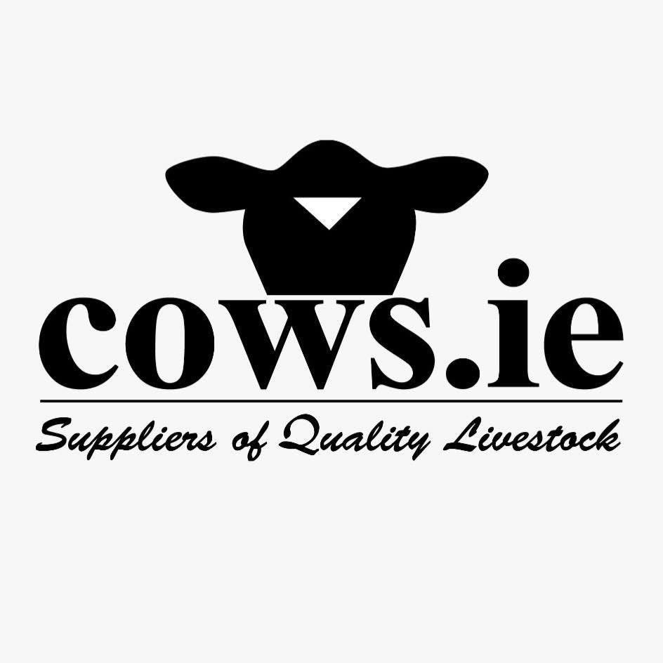 COWS.IE - DAVID CLARKE LIVESTOCK - FARMING IN IRELAND