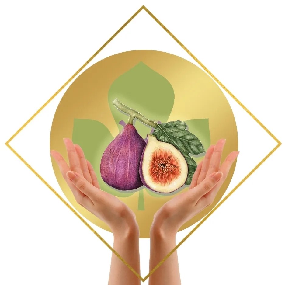 La Terra Dei Fichi