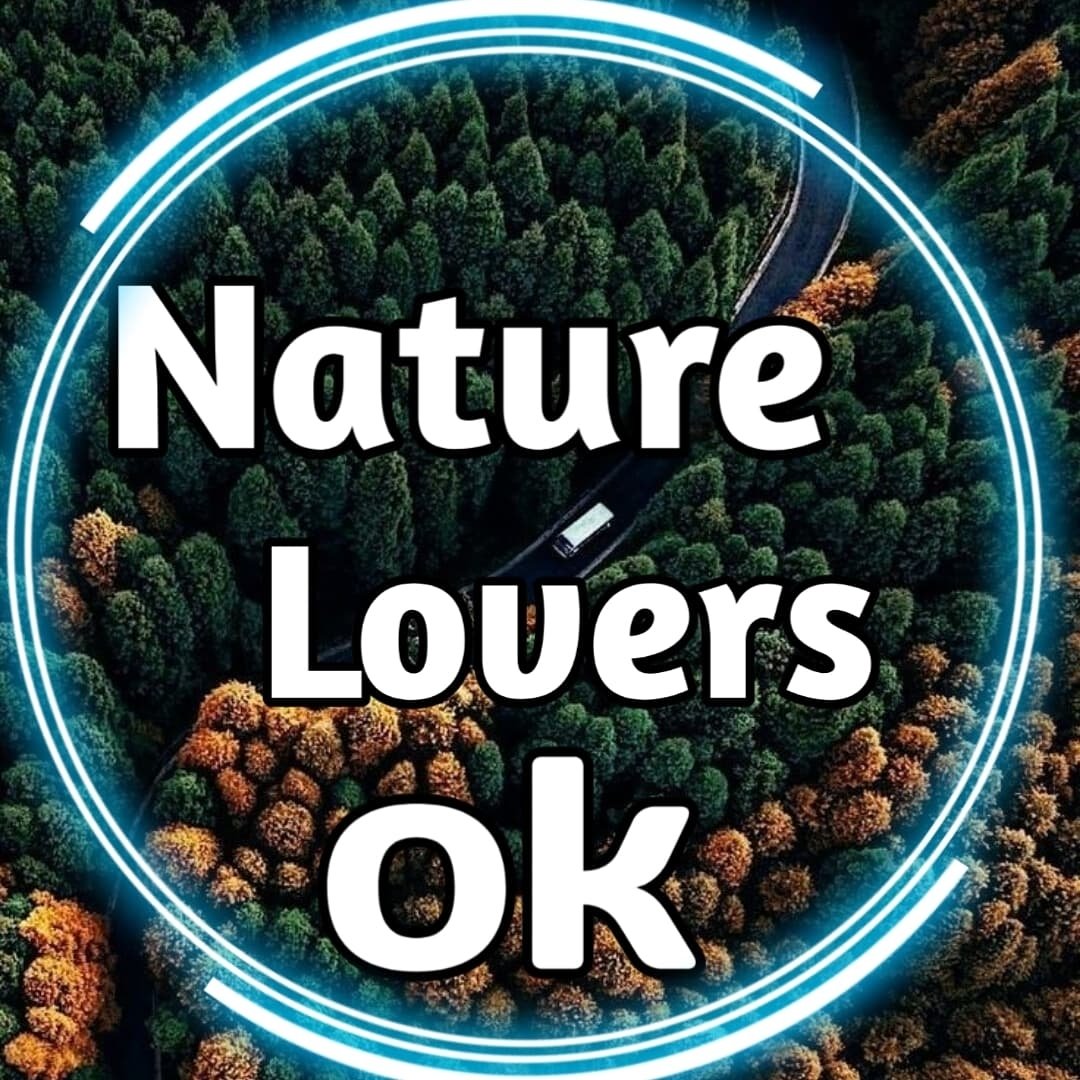 Nature | Travel | Animal