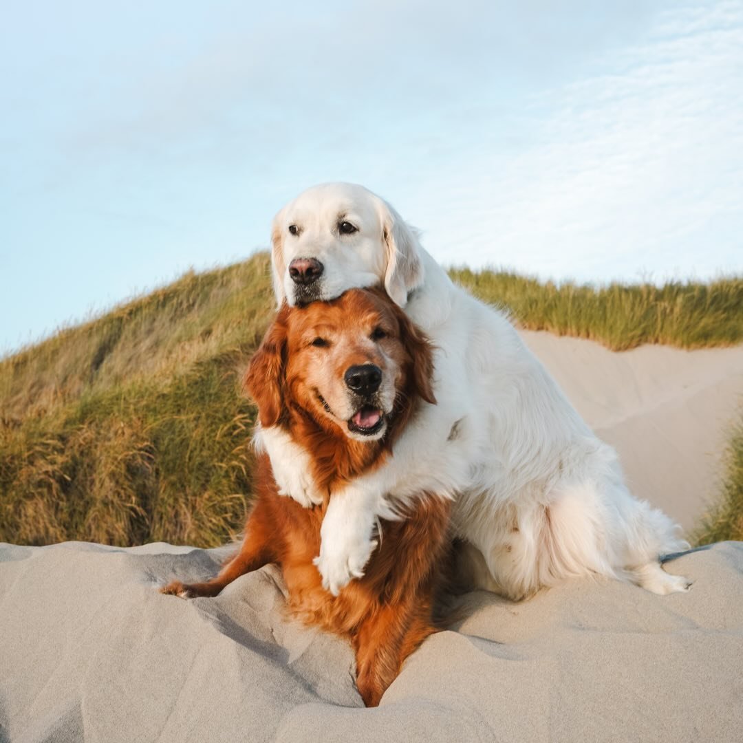 Watson and Kiko