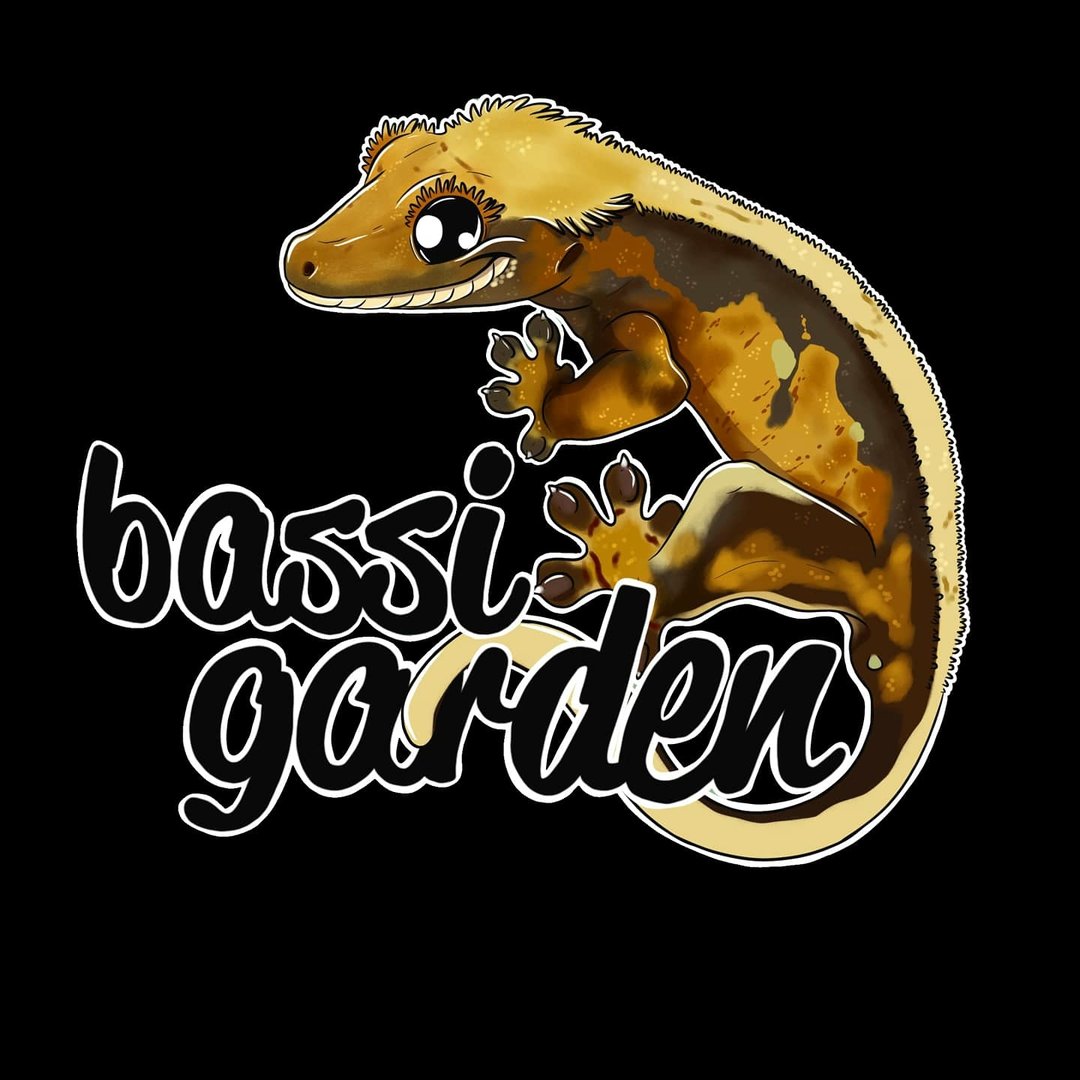 Rettili Bassi Garden