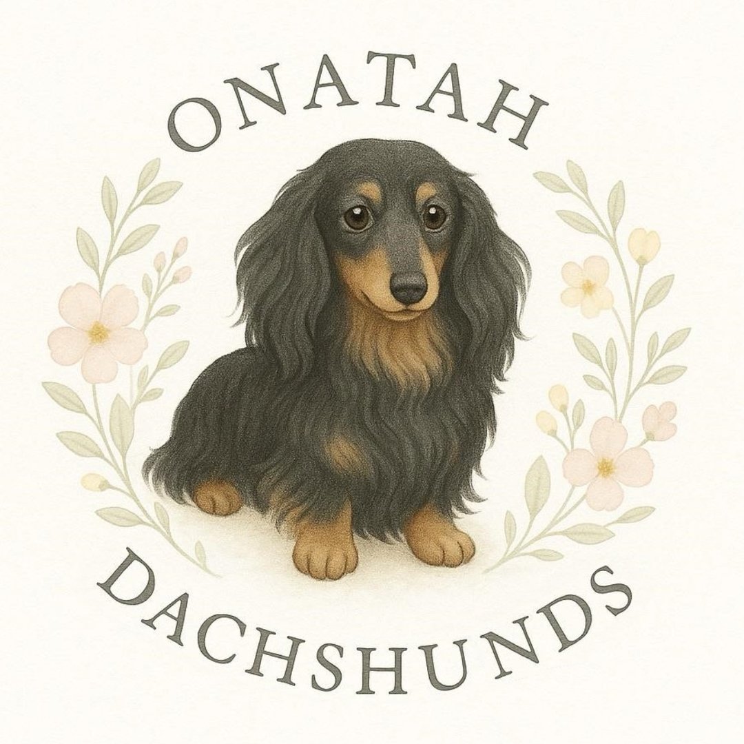 Onatah Dachshunds