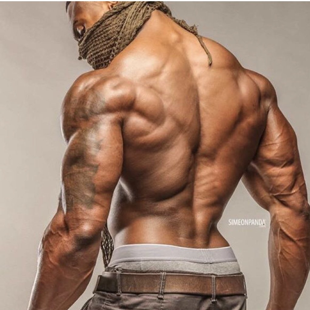 Simplyshredded.com