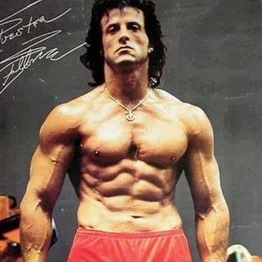 Fitness • Gym • Workout