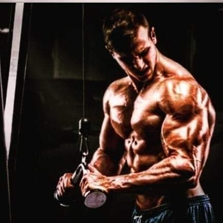 Fit Max