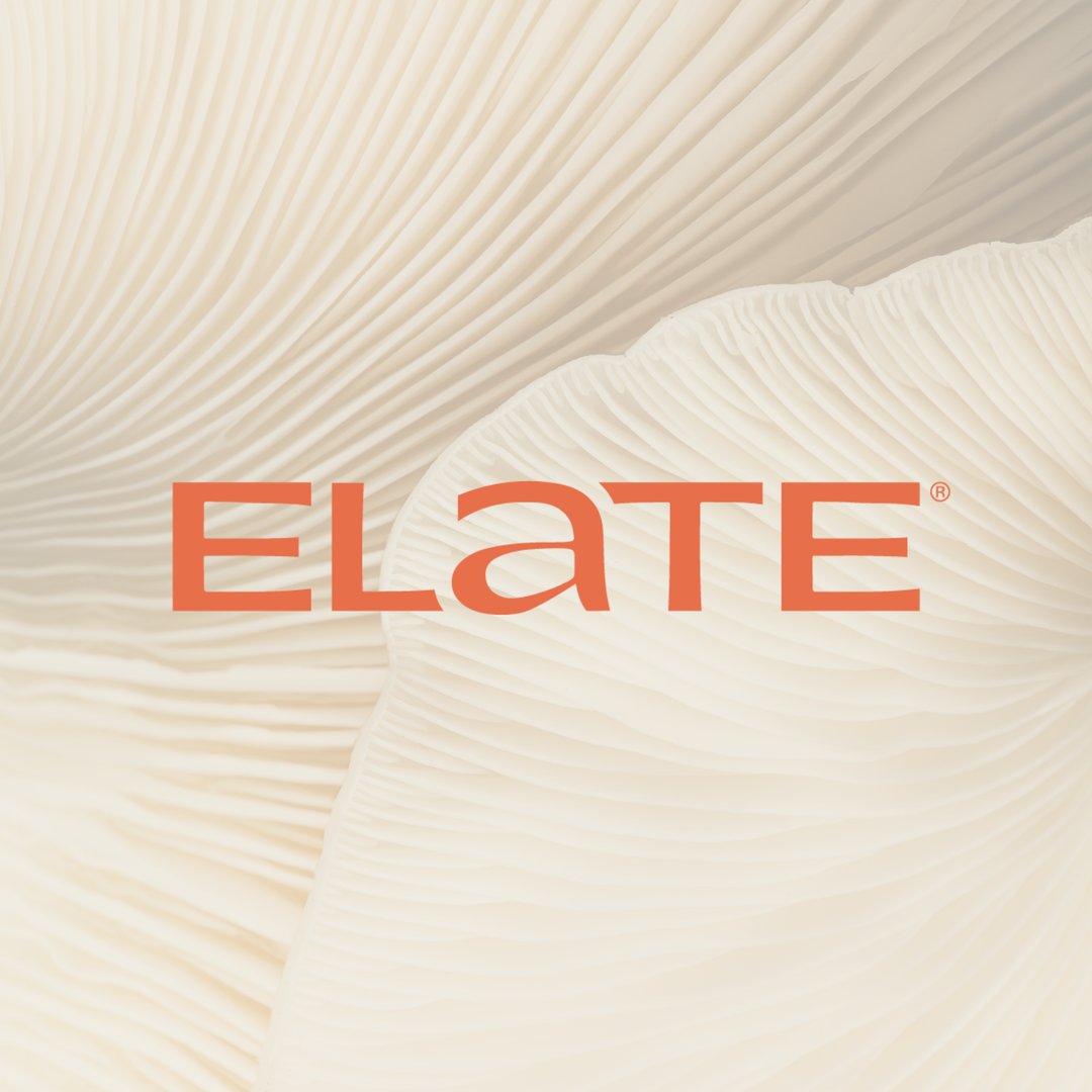 Elate Beauty