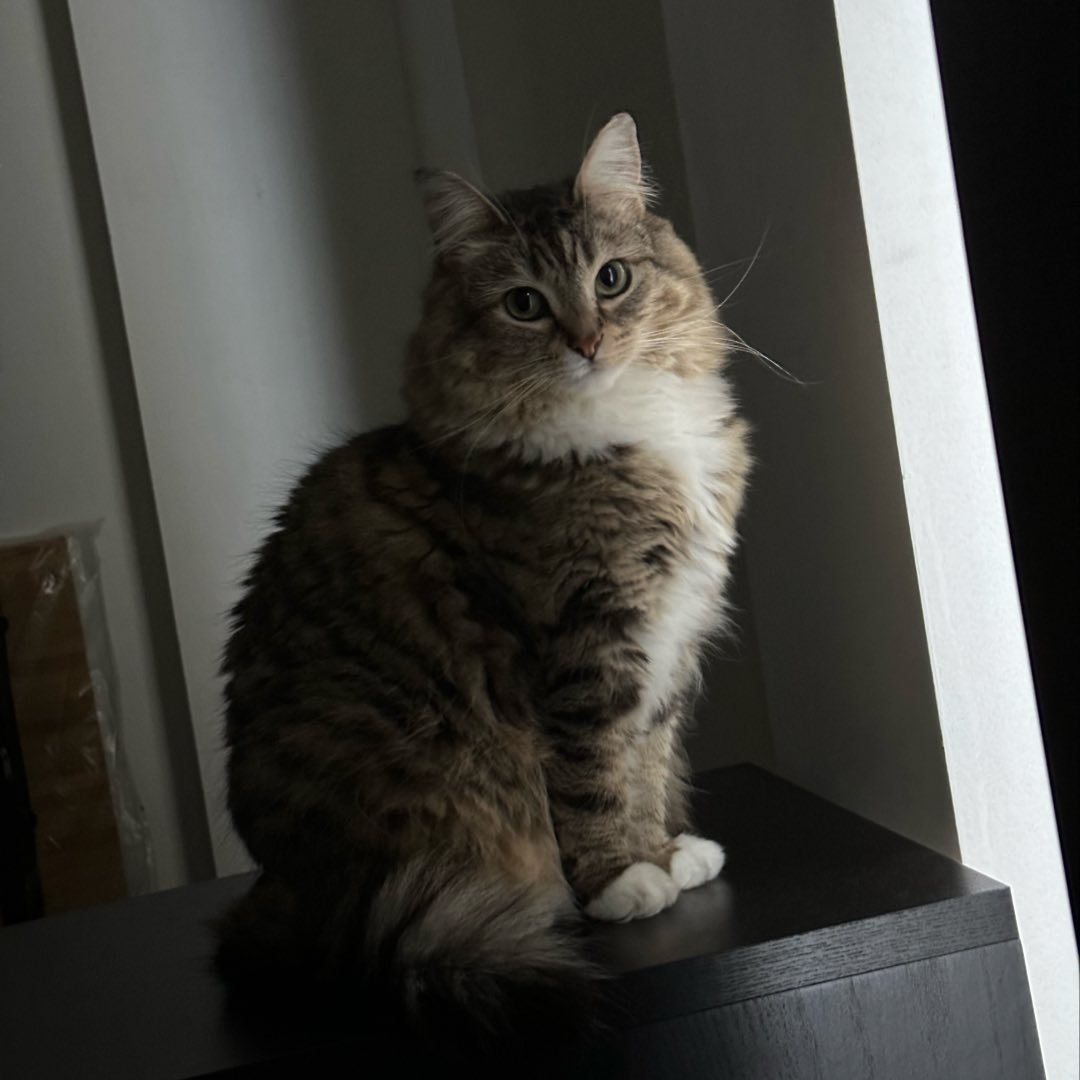 Luna Is Car